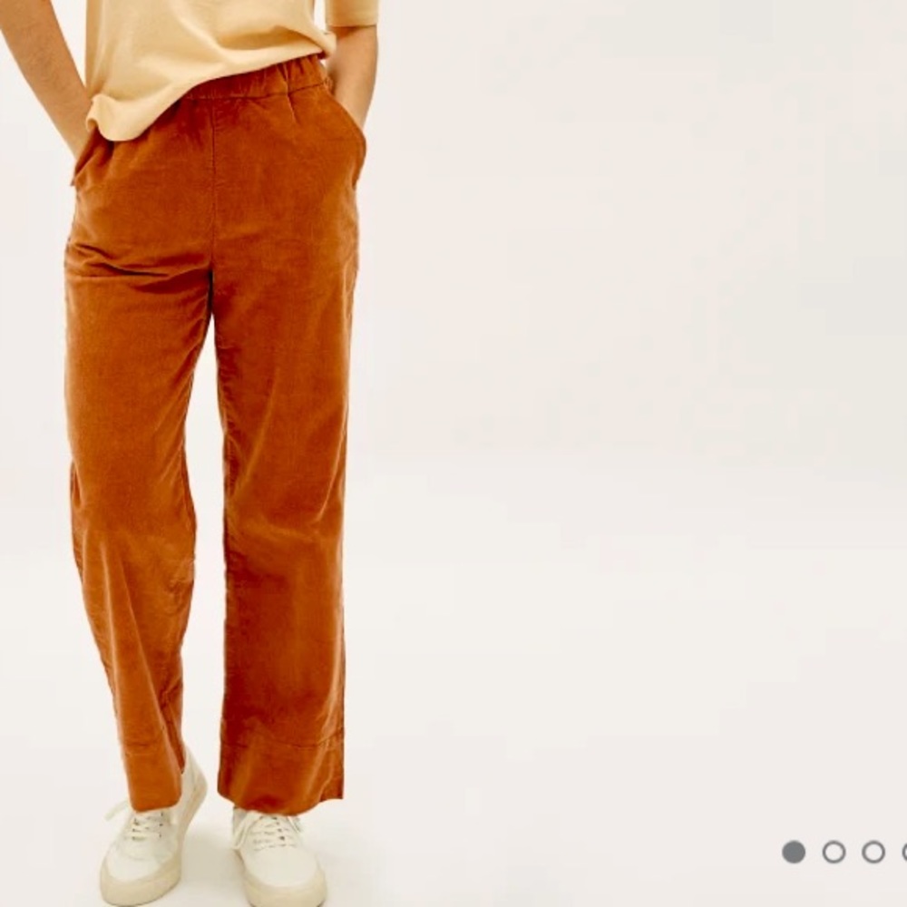 Everlane The Corduroy Easy Pant Acorn 4